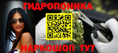 ГАЛЛЮЦИНОГЕННЫЕ ГРИБЫ Сланцы