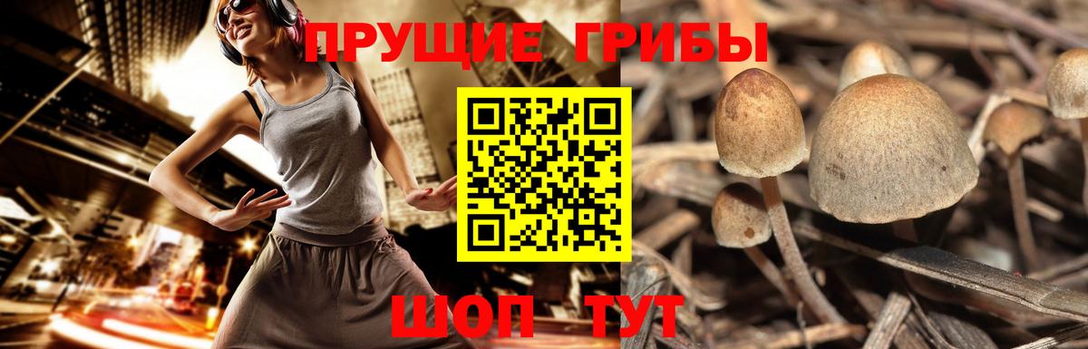 Галлюциногенные грибы ЛСД  Вход с VPN  Острогожск 